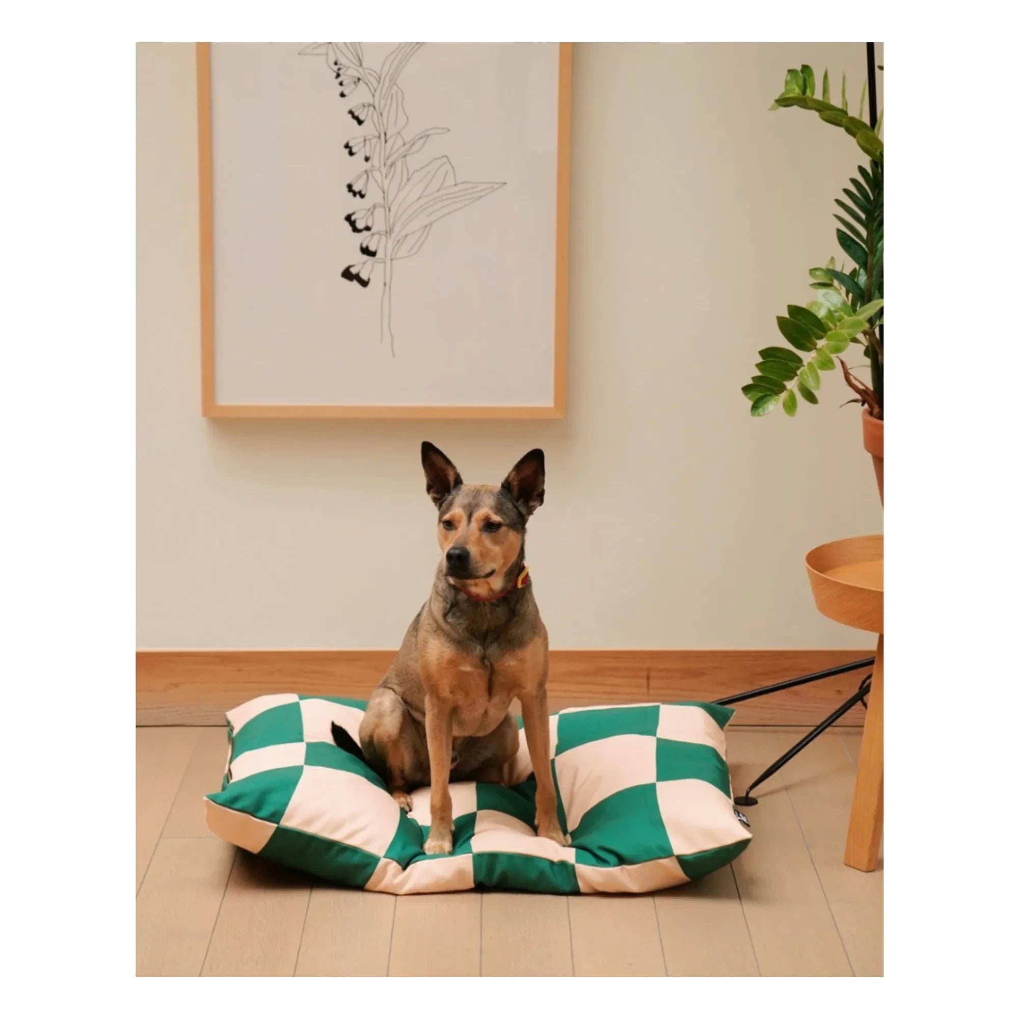 Approved by Fritz - Kariertes Hundebett | Grün
