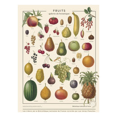 Les Jolies Planches - Meyveler Posteri