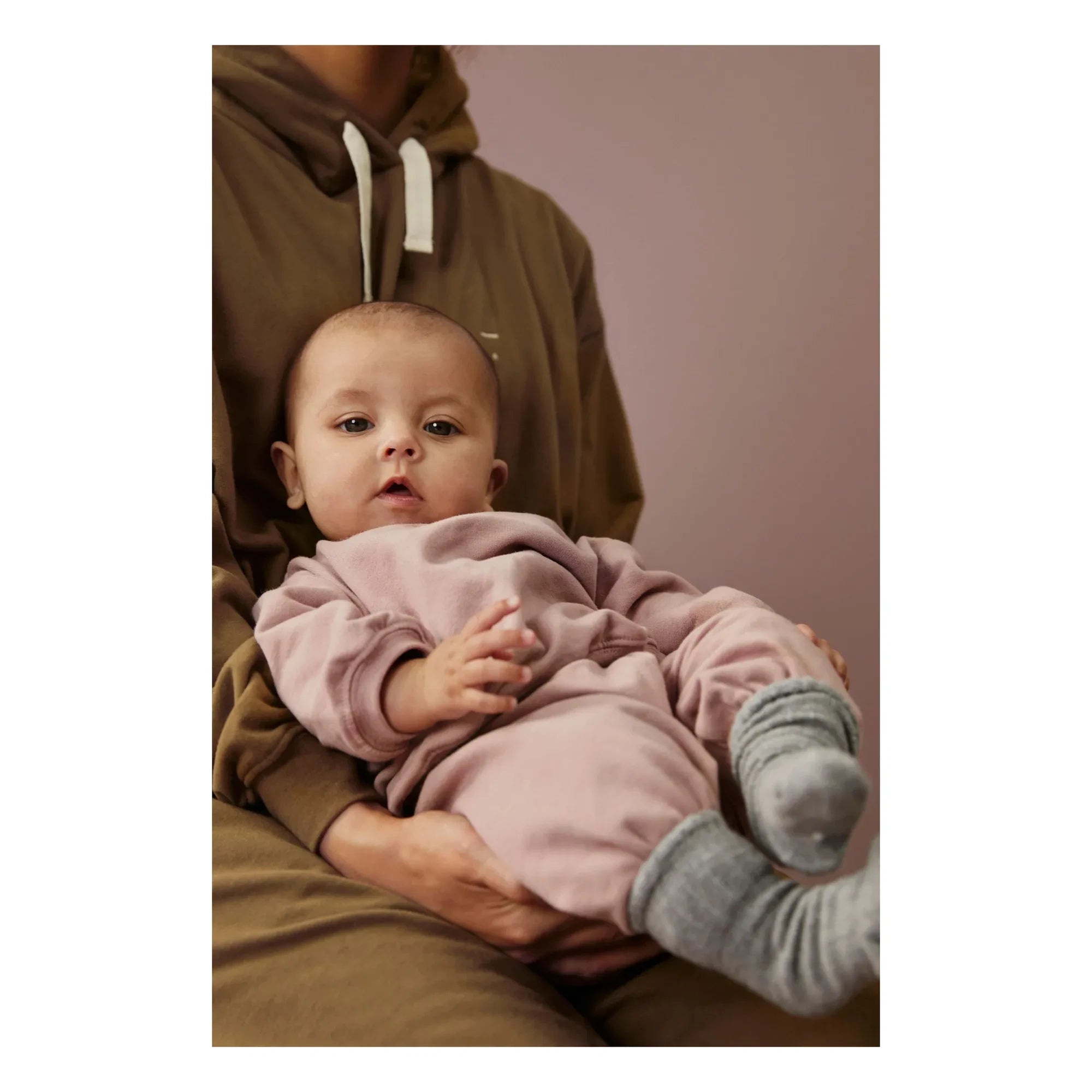 Gray Label - Jogger Mini Bio-Baumwolle | Pflaume