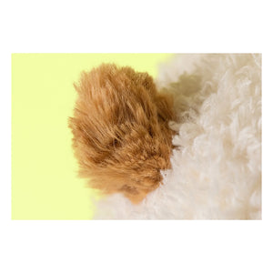 Jellycat - Combi içinde Bartholomew Bear peluş