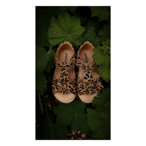 Petit Nord - Leoparden-Schleifen-Sandale | Braun