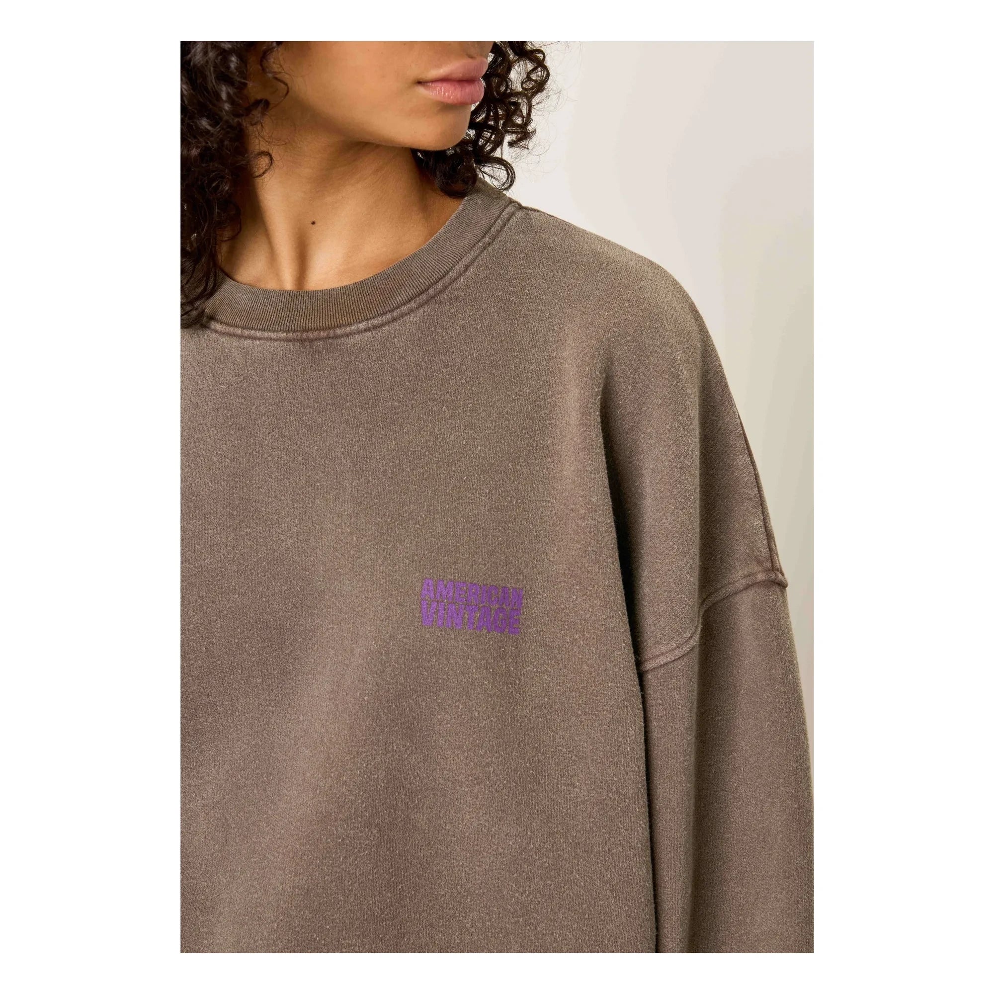 American Vintage - Plizzy Baumwoll-Sweatshirt | Braun