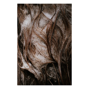 Alaena - Haar- und Körperwaschgel - 300 ml