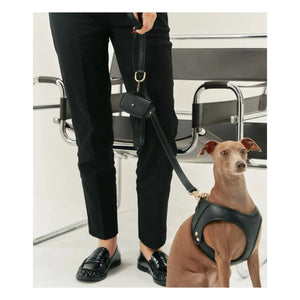 Cafide - Veganes Leder Hundehalsband | Schwarz