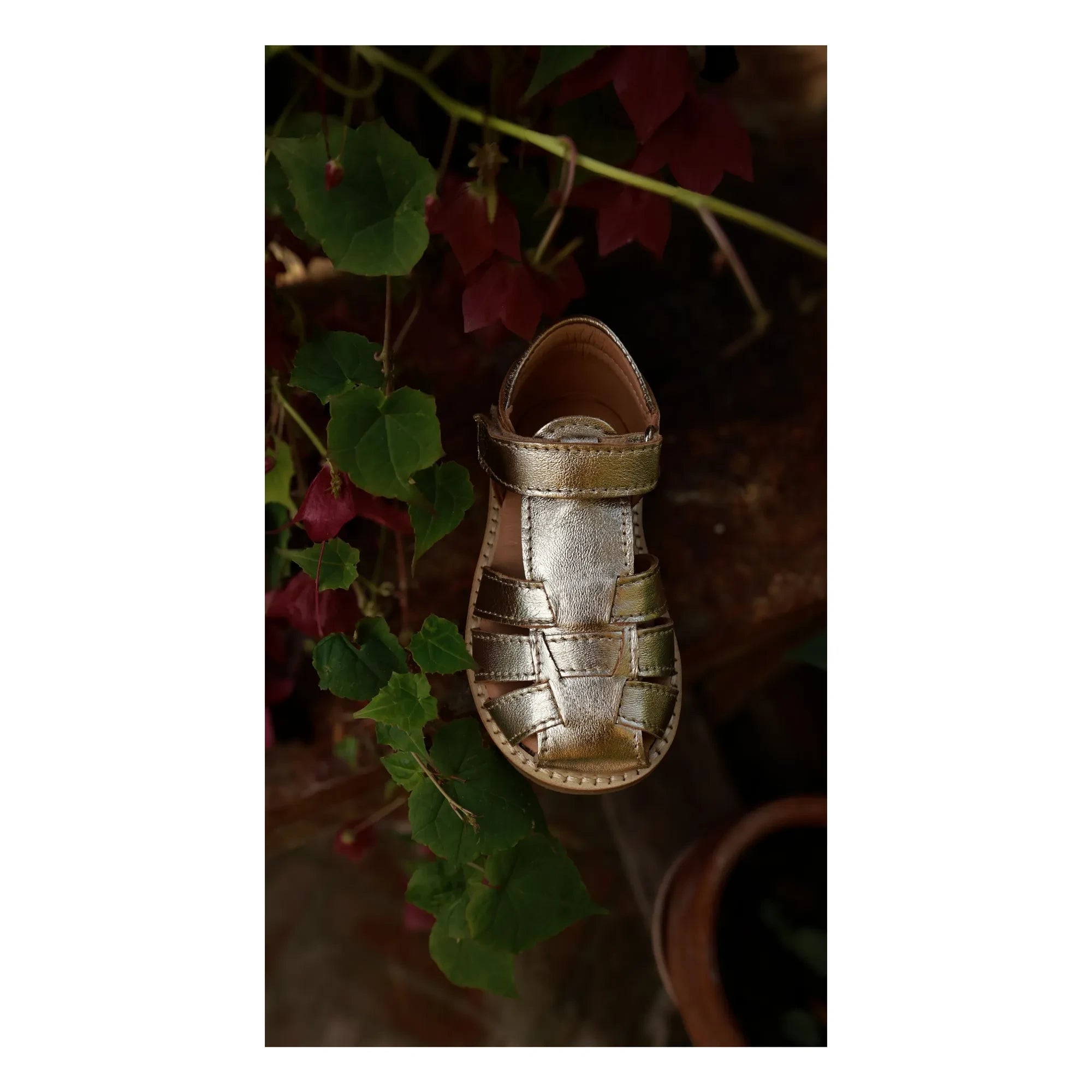 Petit Nord - Klassische Kratz-Sandalen | Silber