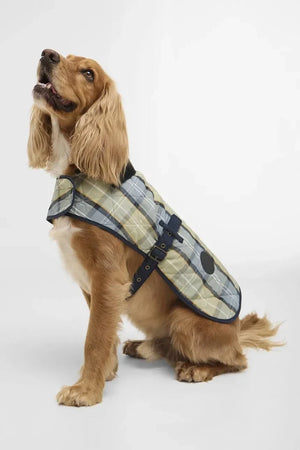 Barbour Tartan Köpek Paltosu