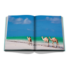Assouline - Kızıldeniz: Suudi Sahili