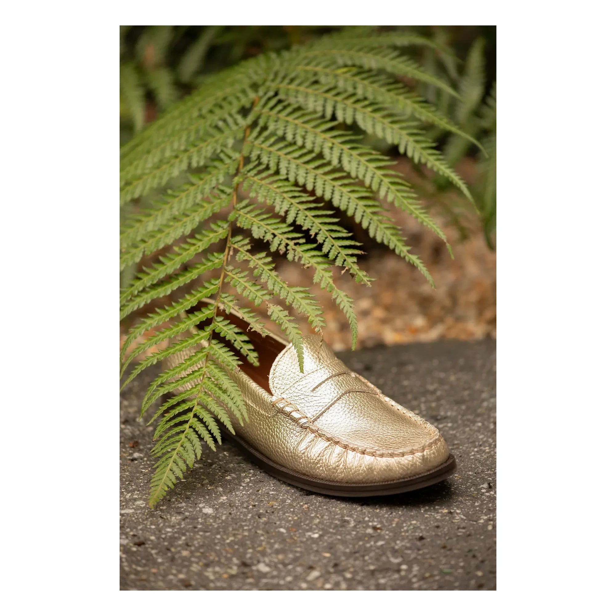 Lachoix – Metallic Penny Loafer | Champagner