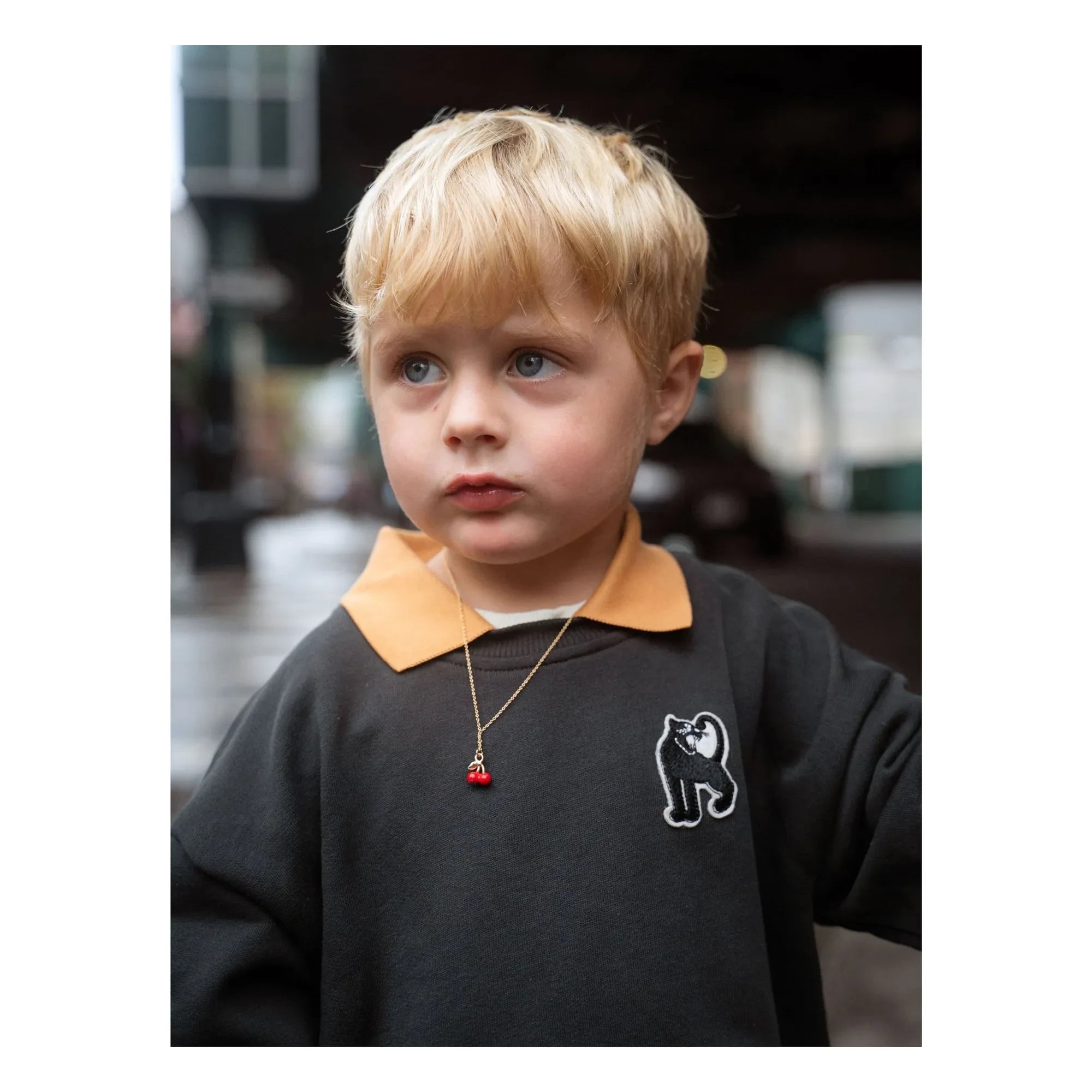 Mini Rodini - Sweatshirt mit Panther-Kragen Bio-Baumwolle | Schwarz