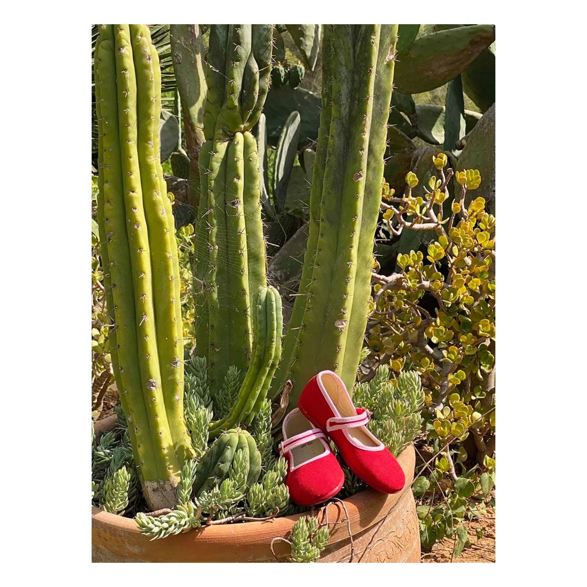 Hermosilla - Poppy Ballerinas | Rot