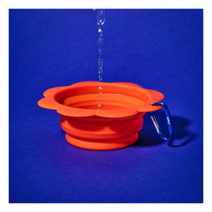 Jampy - Blumentransport-Schale | Orange