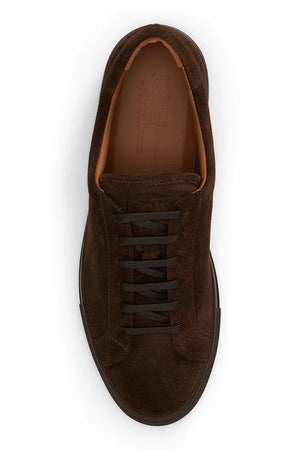 Polo Ralph Lauren Jermain Lux erkek süet sneaker