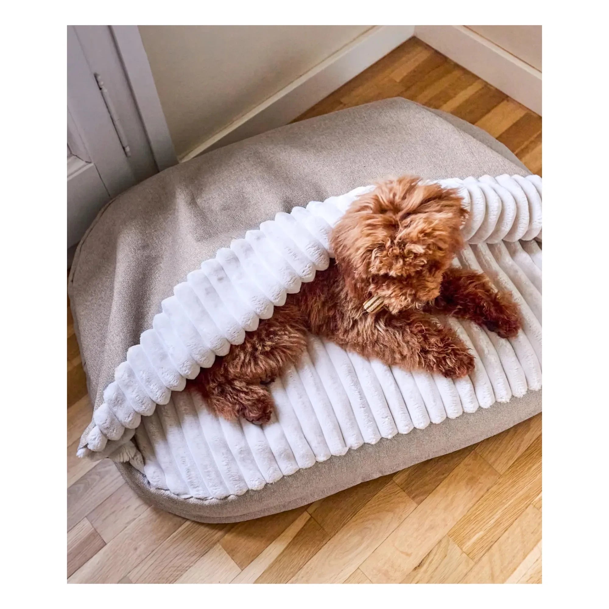 Cafide - Maso Hundebett | Beige
