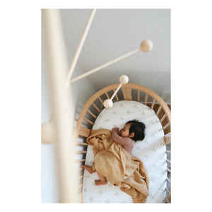 Soft Spot - Birne Bio-Baumwoll-Spannbettlaken | Pear