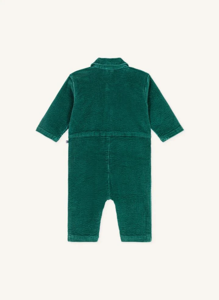 Petit Bateau - Pompist Ripp-Overall aus Bio-Baumwolle | Grün