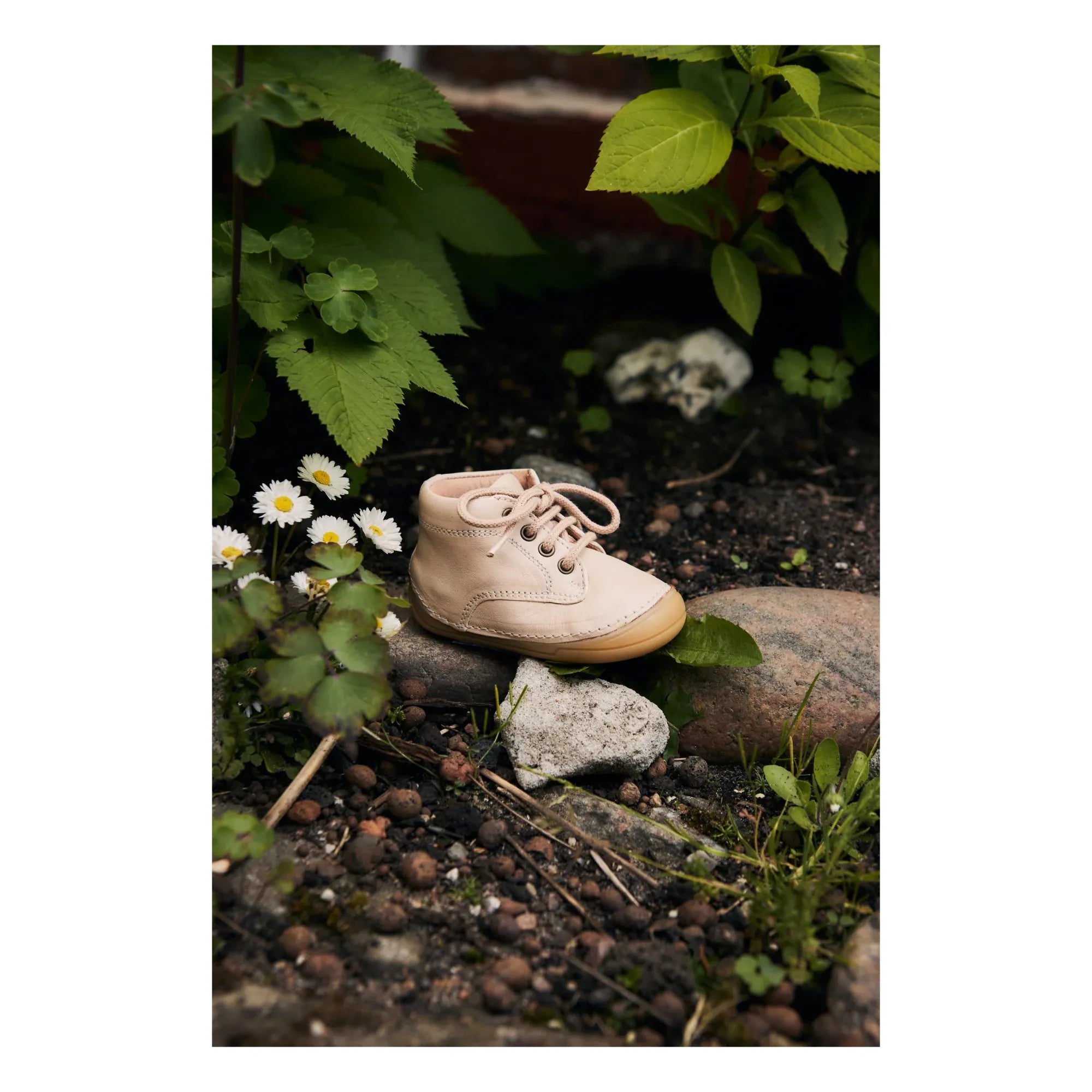 Petit Nord - Bootie Schnürsneaker | Cremeweiß