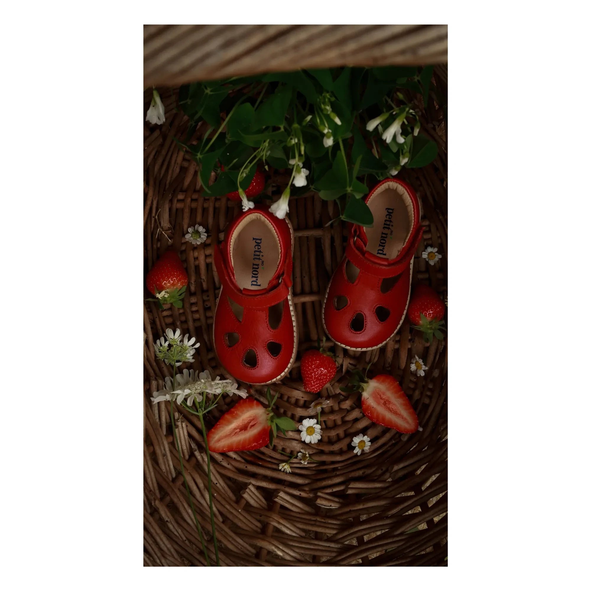 Petit Nord - T-Steg für Babys | Poppy