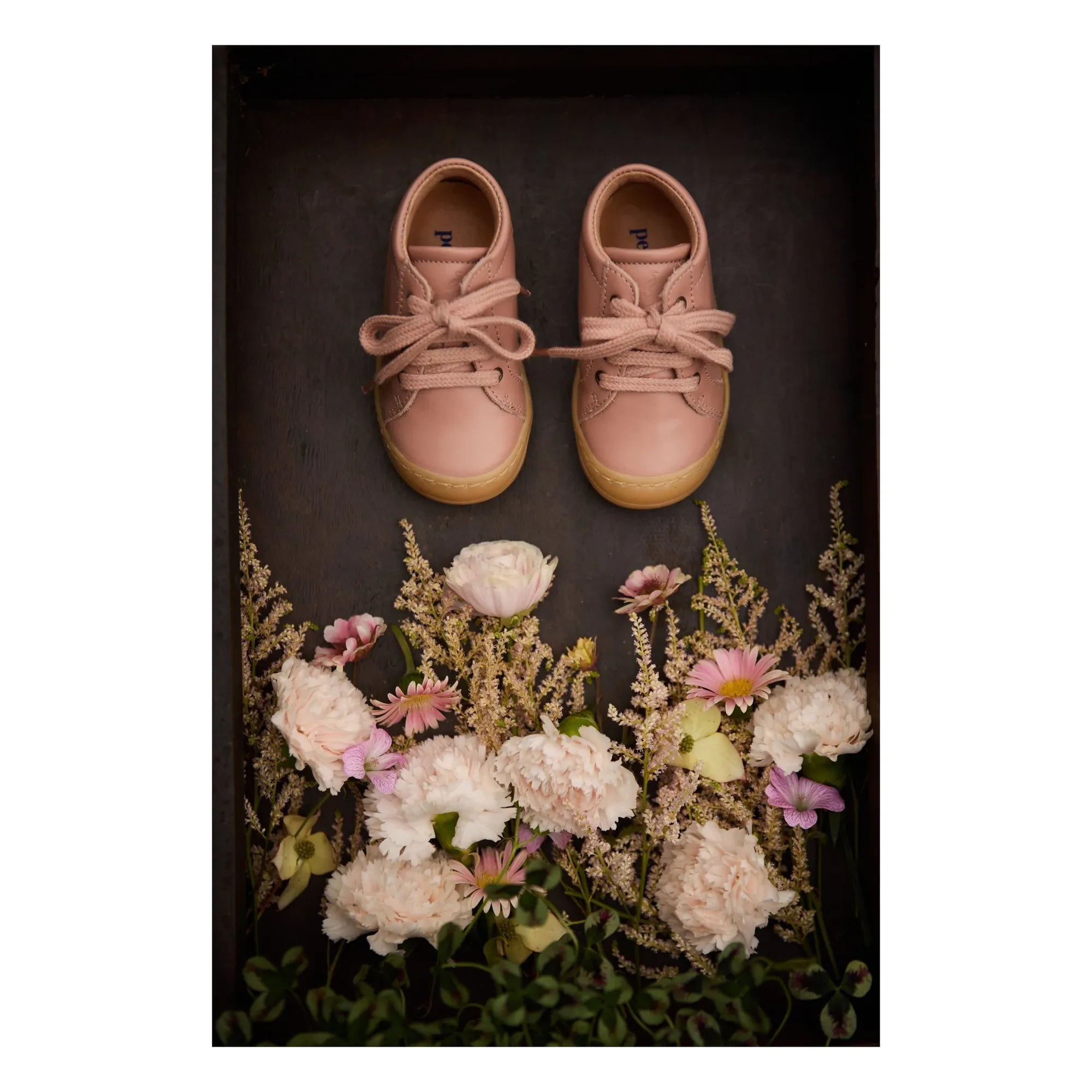 Petit Nord - Schnürsenkel Sneaker für jeden Tag | Rosa