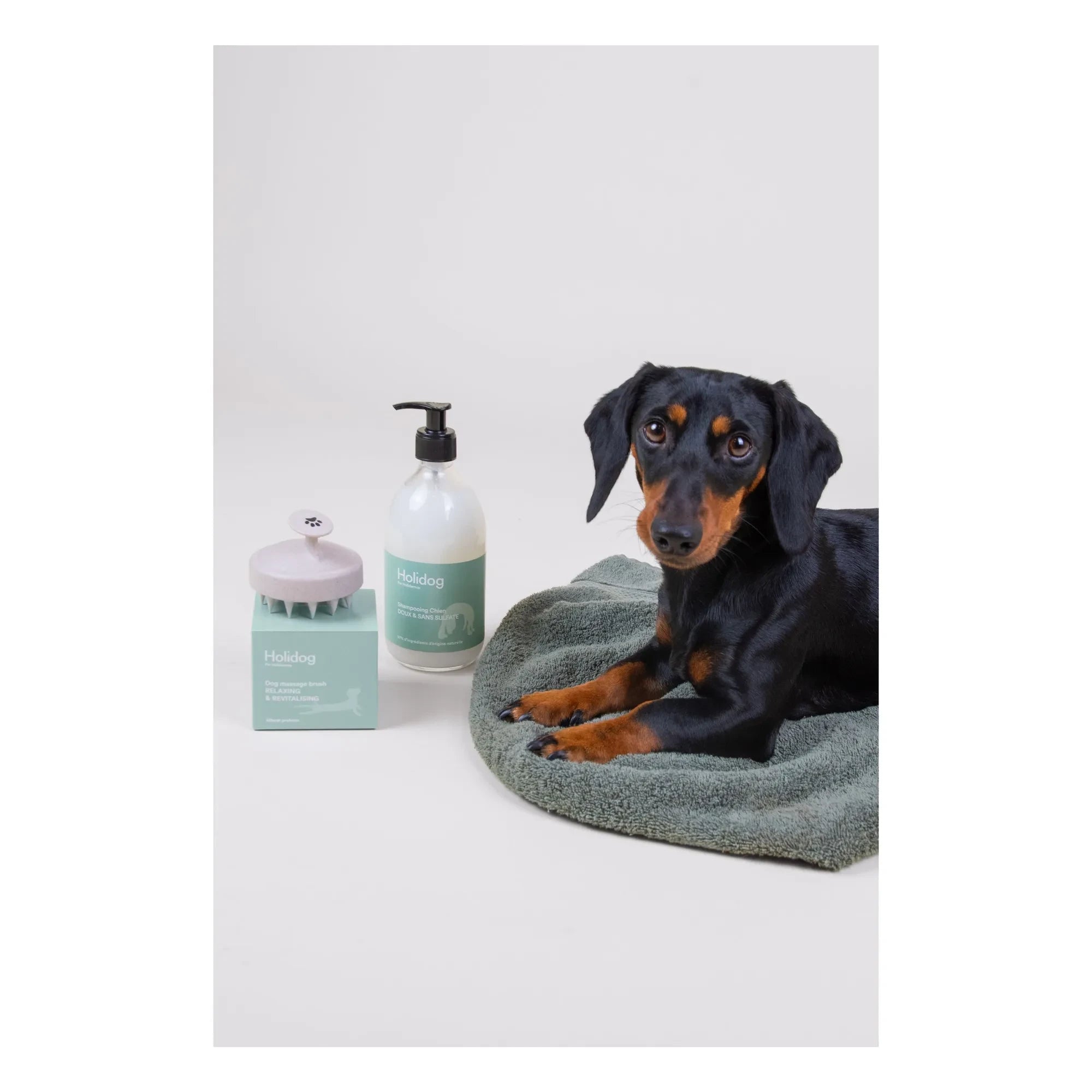 Holidermie - Holidog Hundemassagebürste