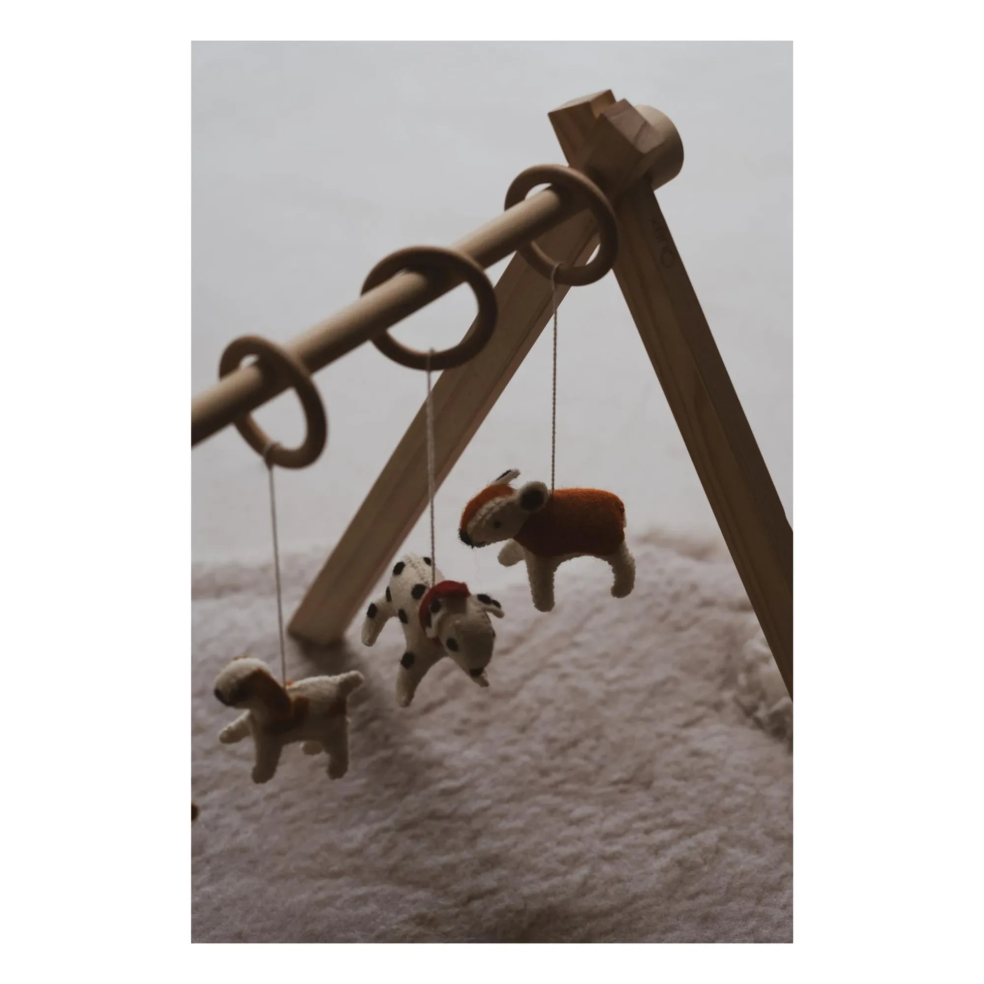Quax - Köpek kemeri oyuncak seti