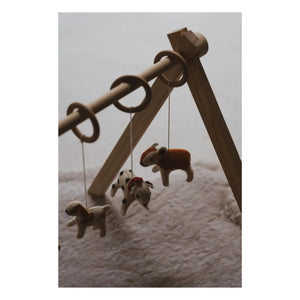 Quax - Hundegurt Spielzeugset