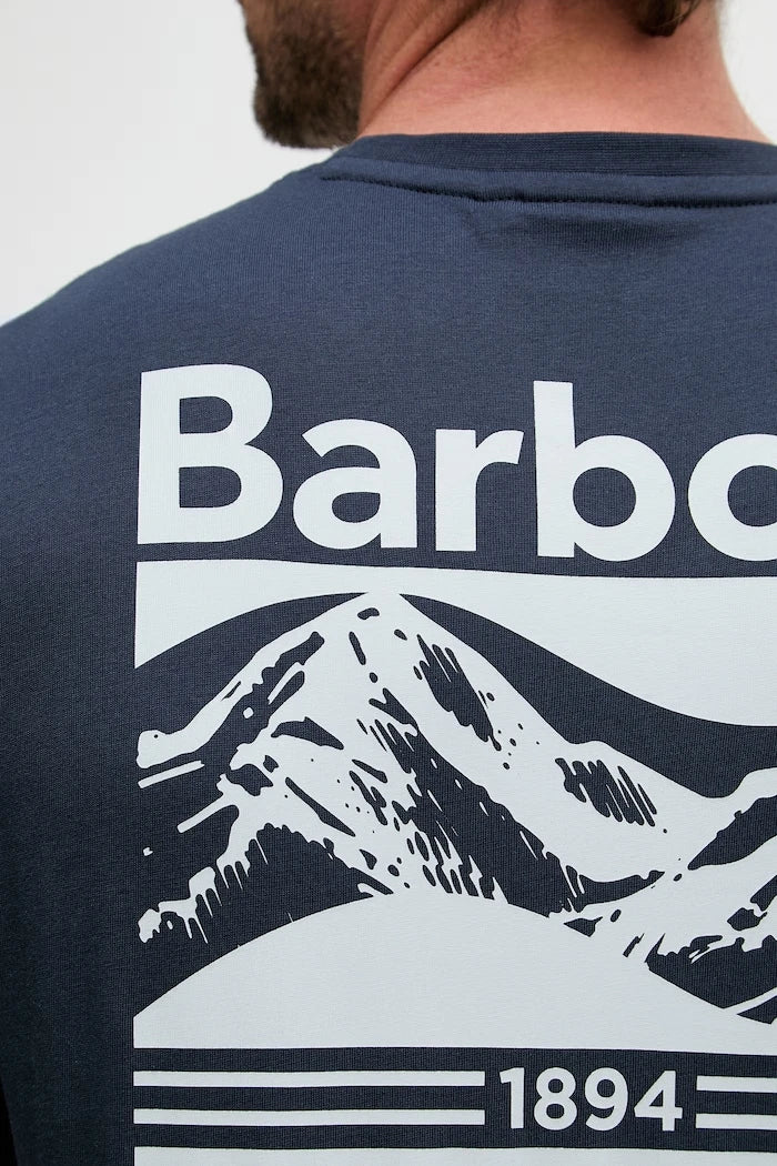 Barbour erkek pamuklu Camber tişört