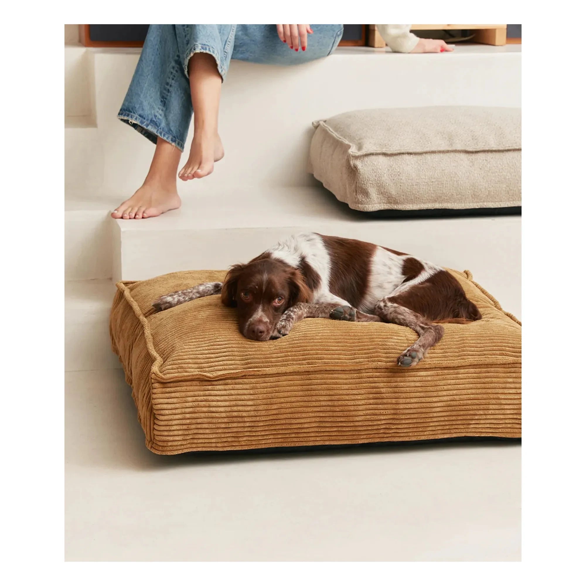 Cafide - Cuadra Samt-Hundebett | Senf