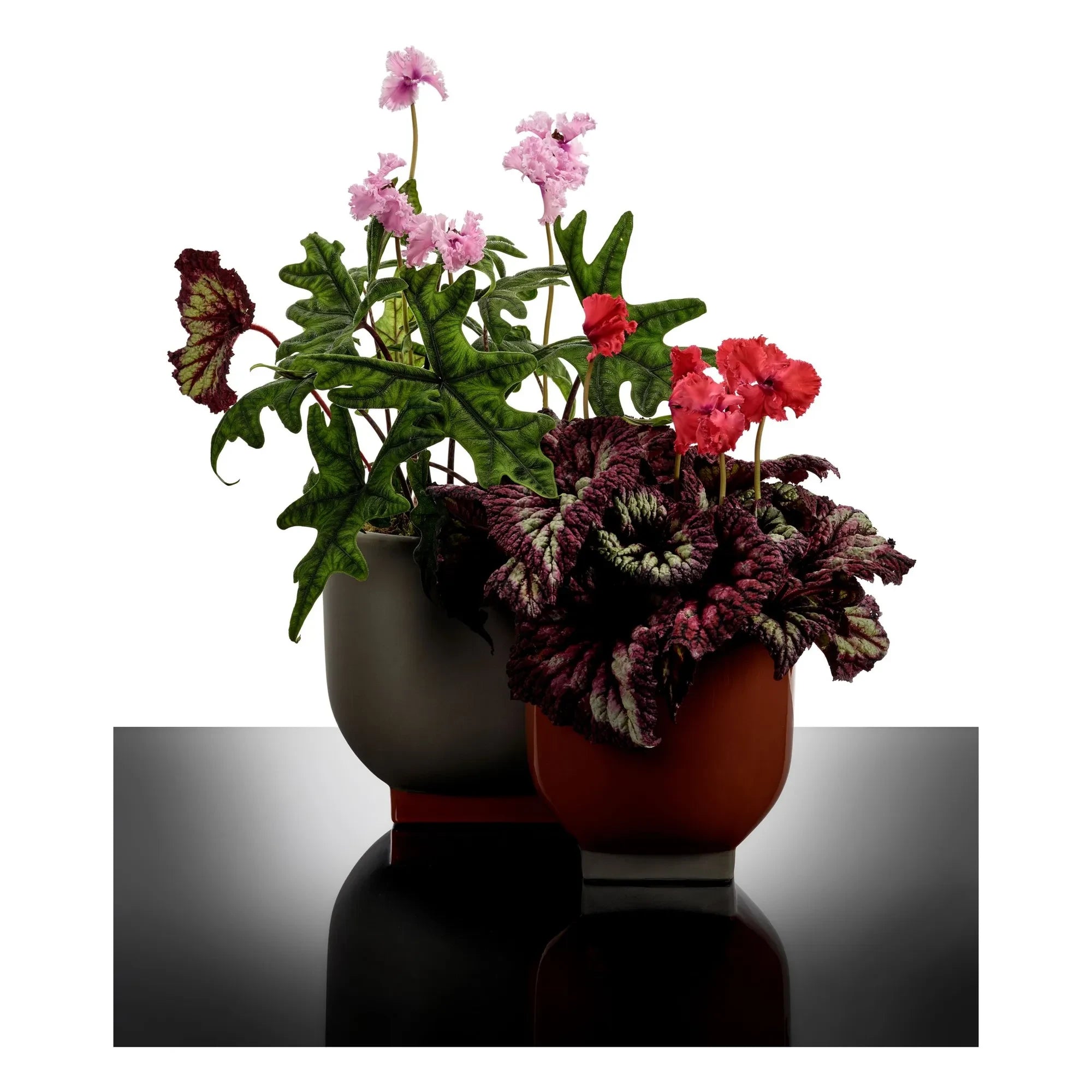 Serax - Cache-pot 02, Kris van assche | Pas