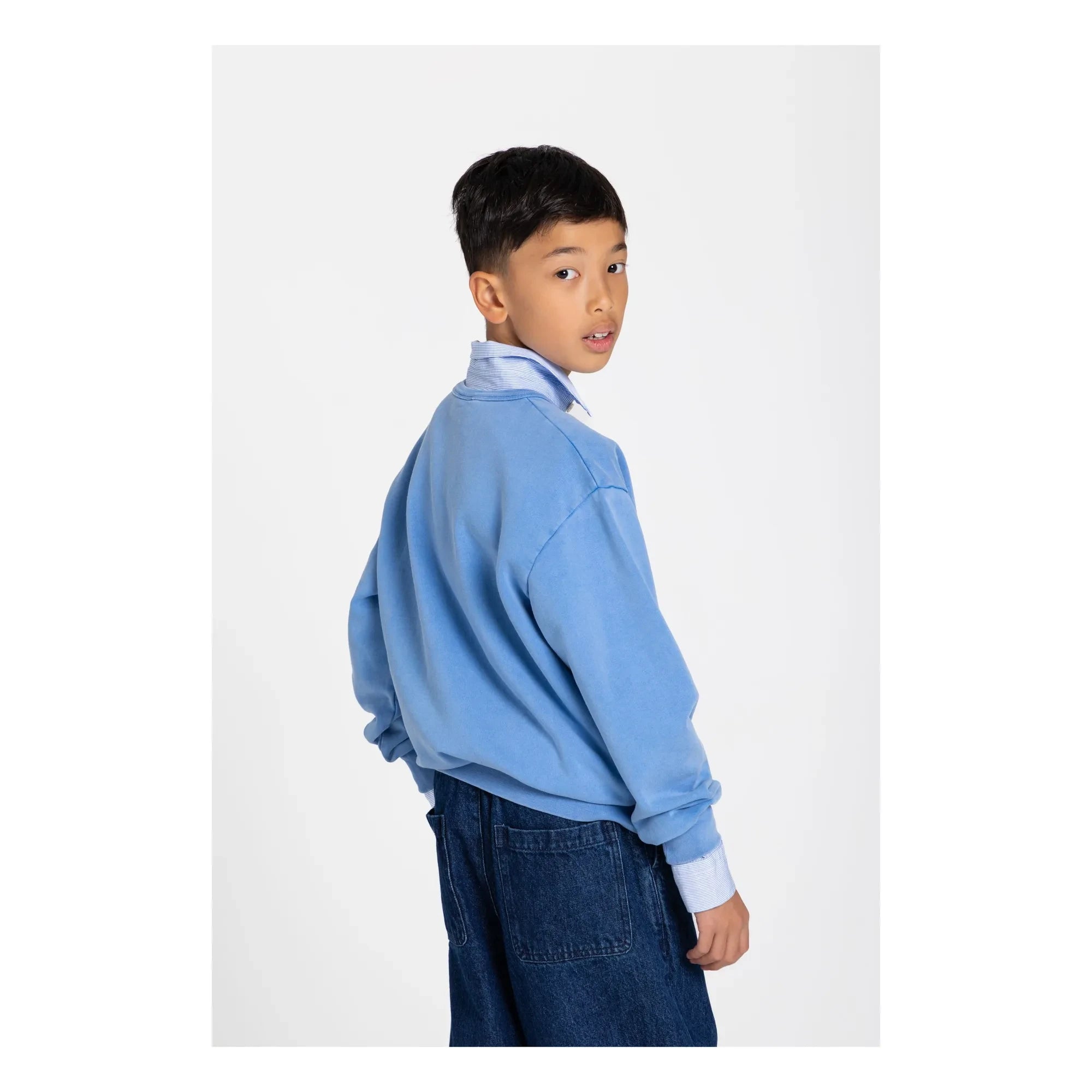Smallable Kid - Arlo Bio-Baumwoll Sweatshirt | Königsblau
