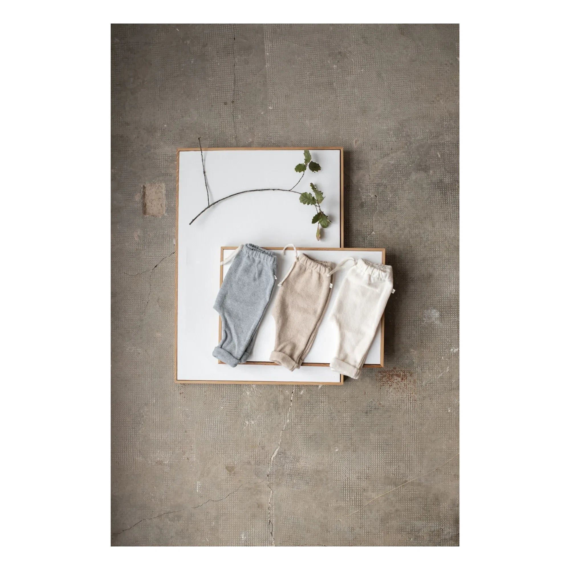 1+ in the family - Alain Hose | Graublau