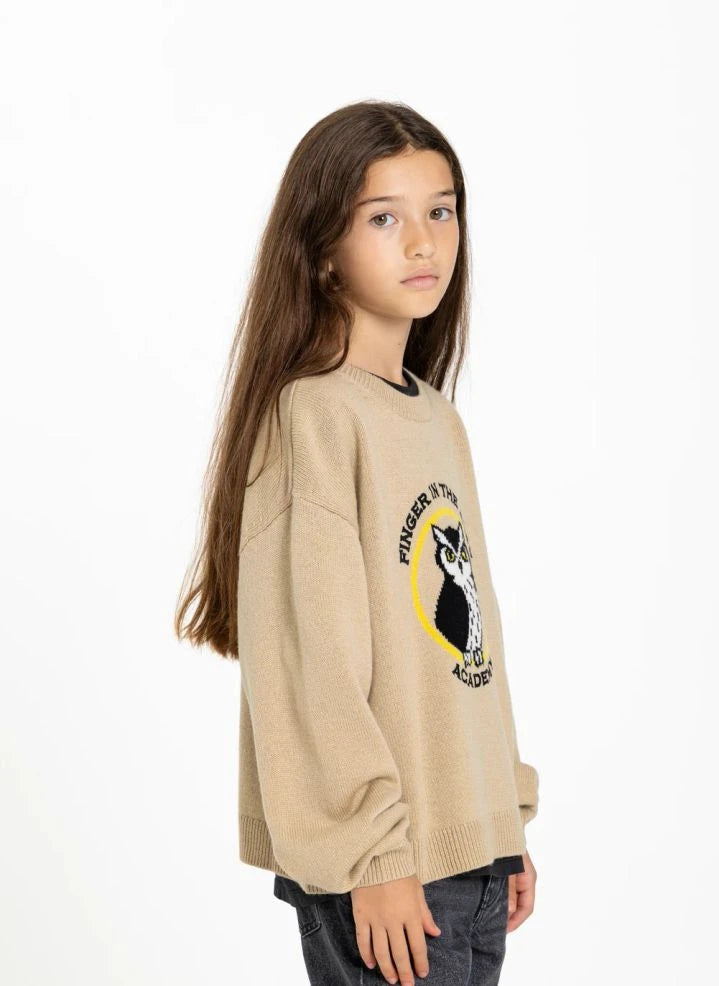 Finger in der Nase - Pul Sally Academy Merinowolle | Taupe braun