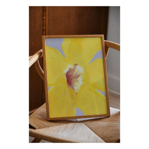Paper Collective - In Full Bloom 01 Poster, Liat Greenberg | Gelb