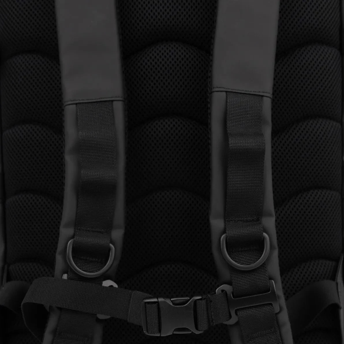 Sandqvist - Rolltop Sırt Çantası 16 | Siyah