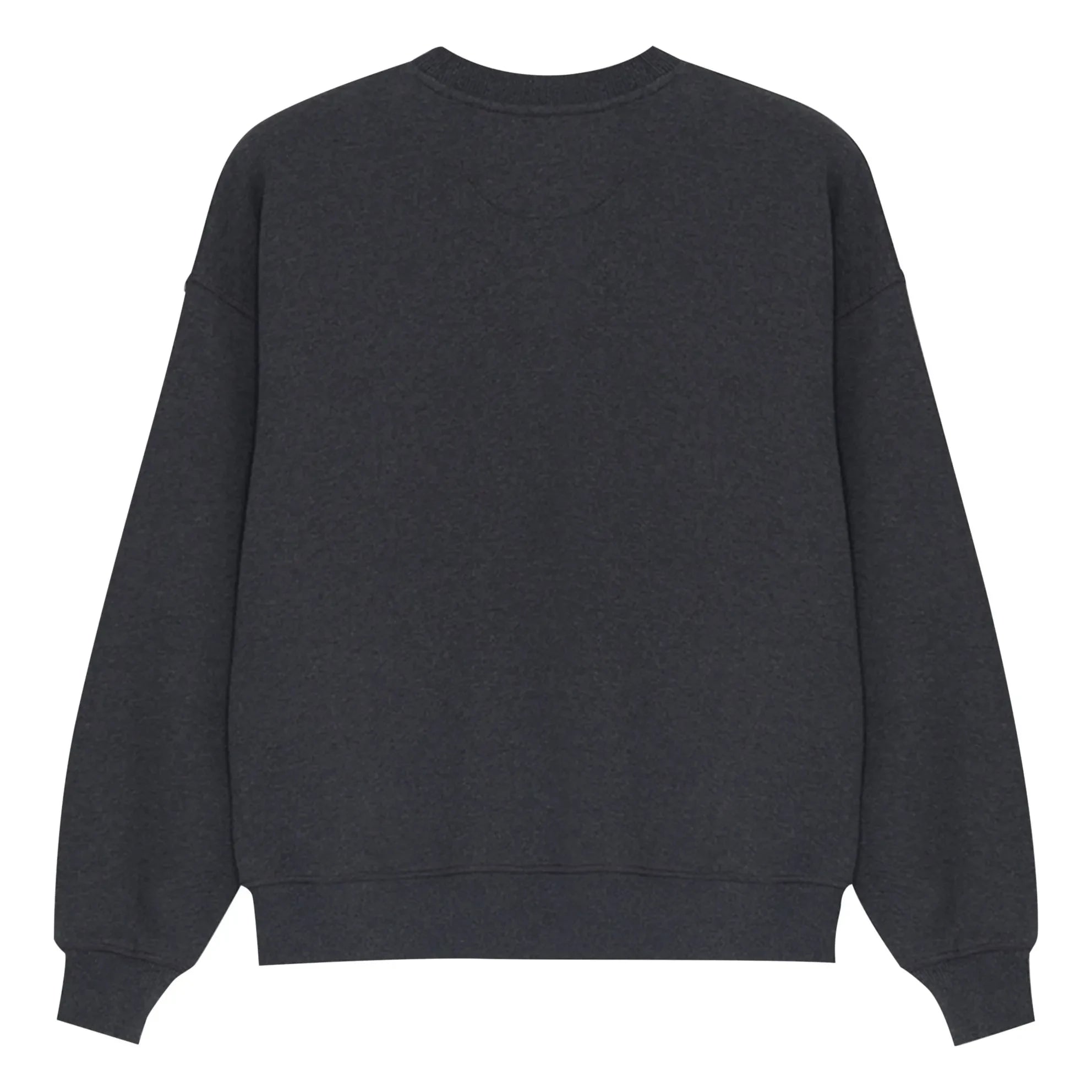 the new society - TNS Logo Sweatshirt | Dunkelgrau meliert