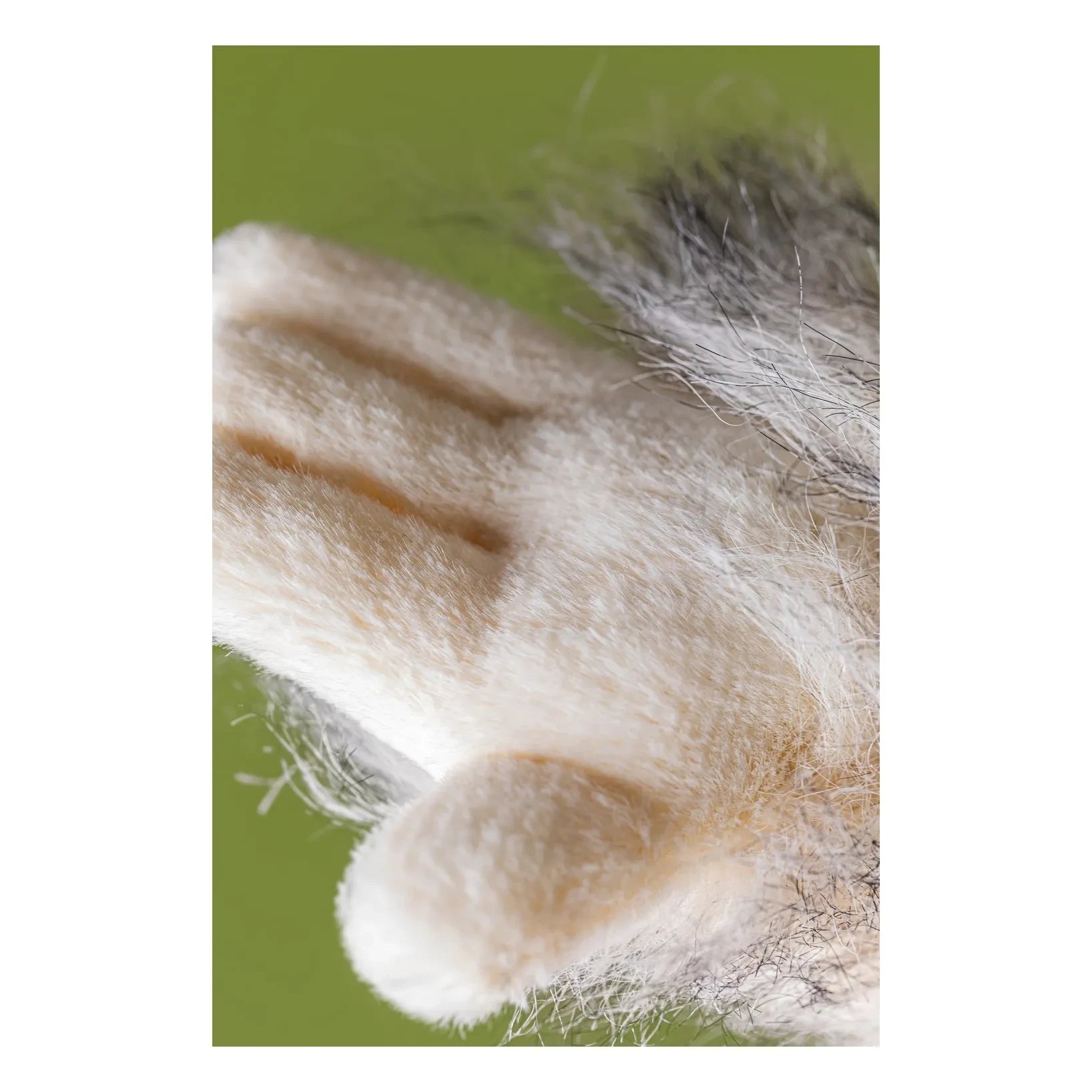 Jellycat - Bretti Yeti Peluş Oyuncak
