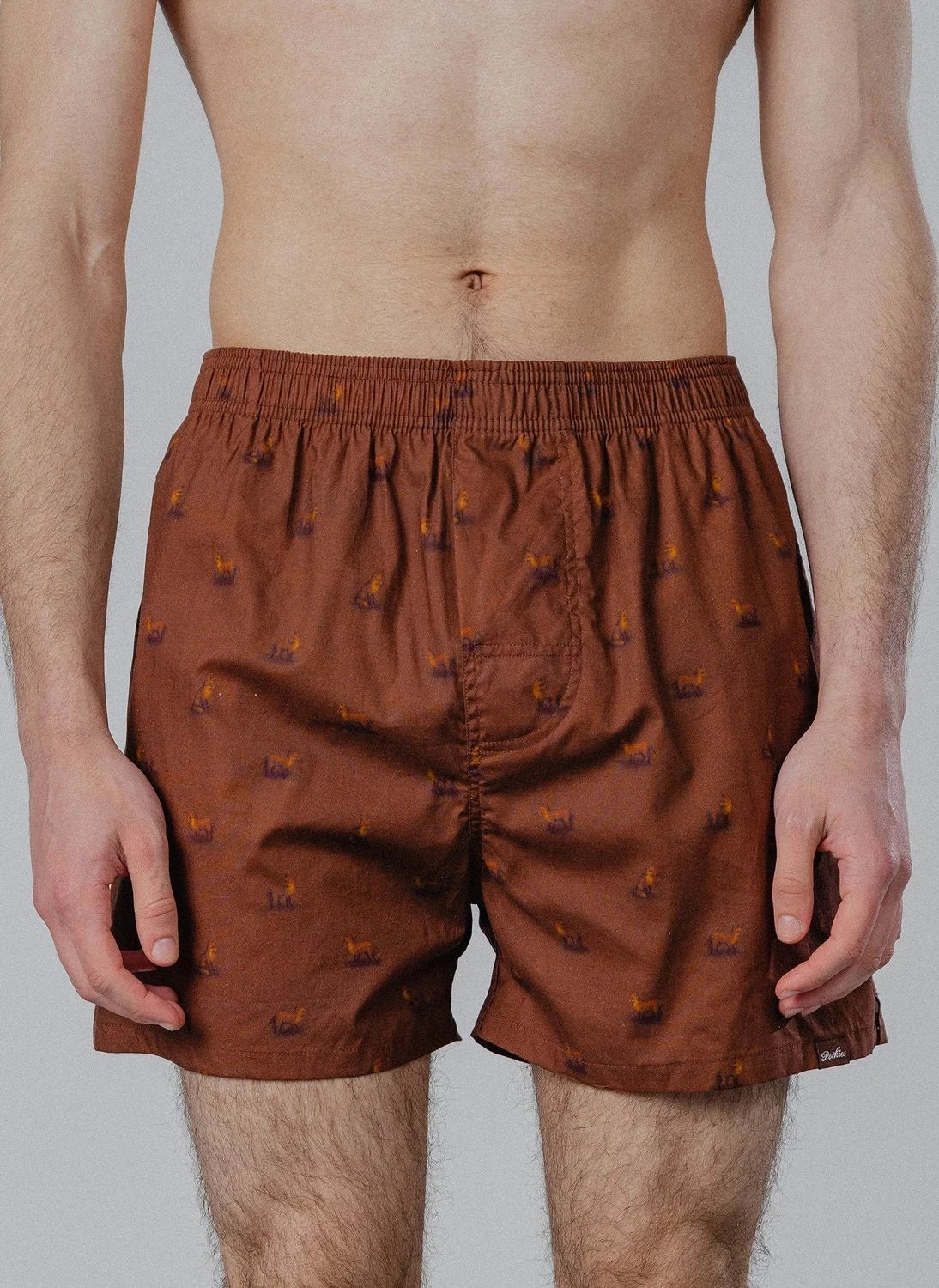 Pockies - Fox Boxer Şort | Kahverengi