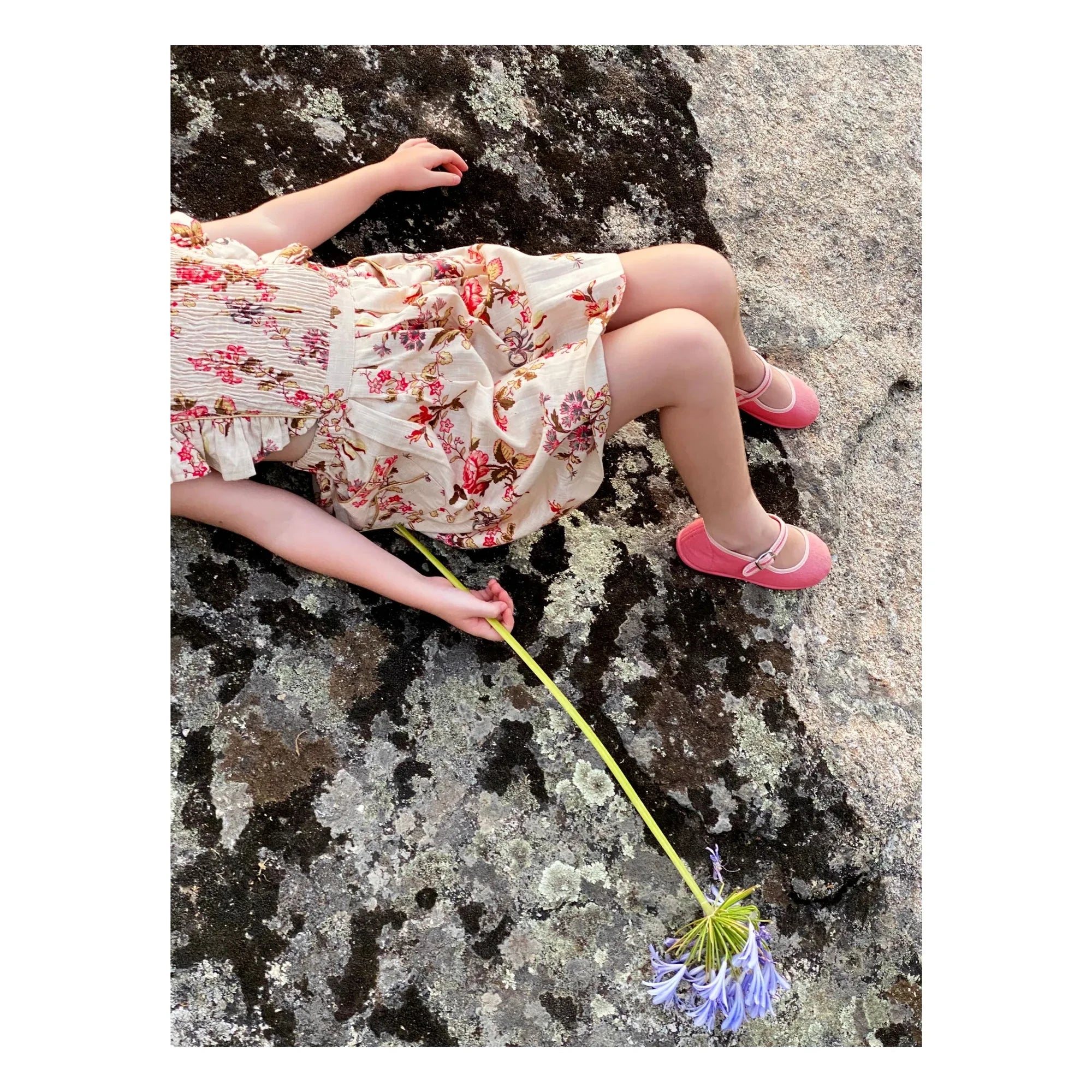 Hermosilla - Ballerinas Peony | Rosa