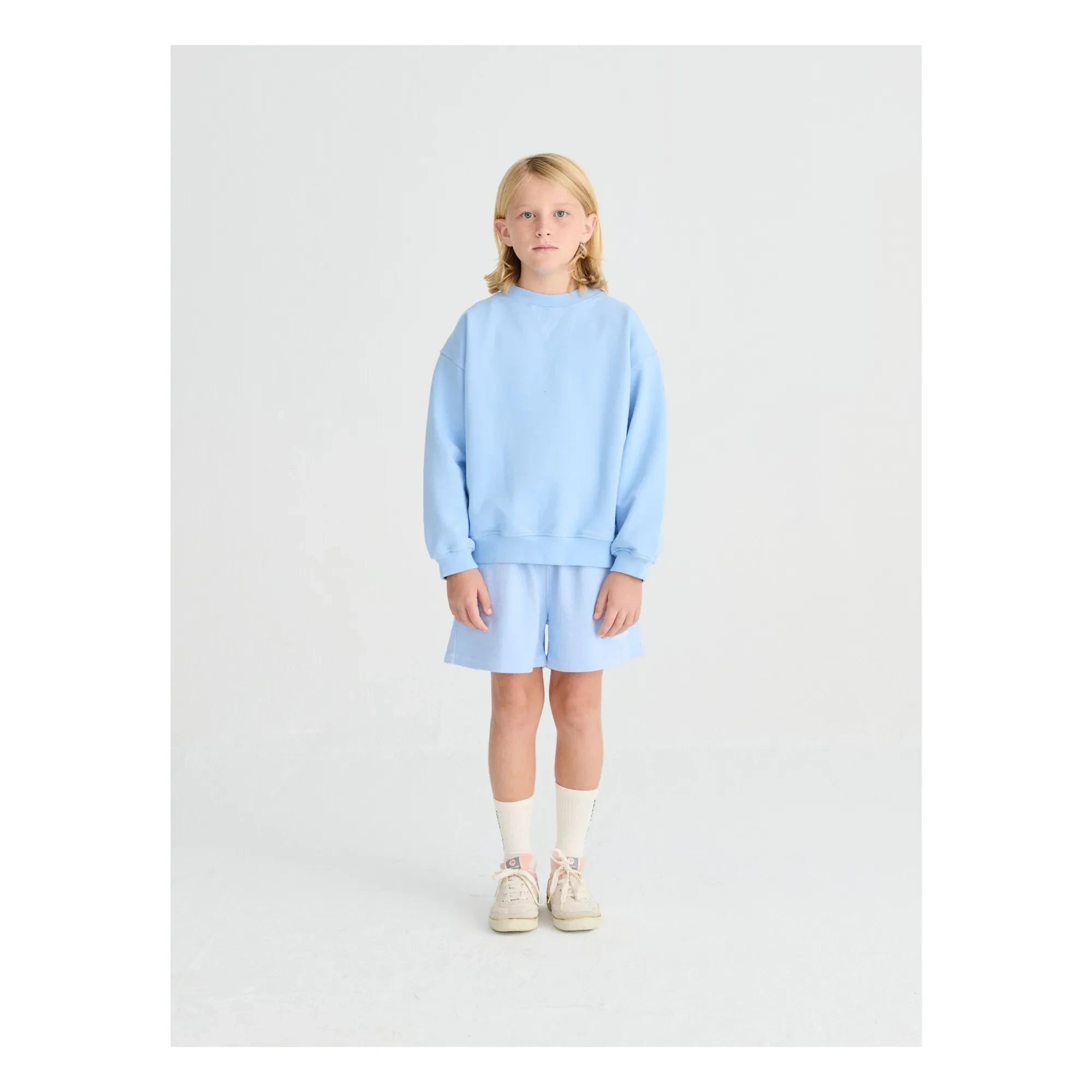 True Artist – Sweatshirt Nr. 11 Bird Bio-Baumwolle | Hellblau