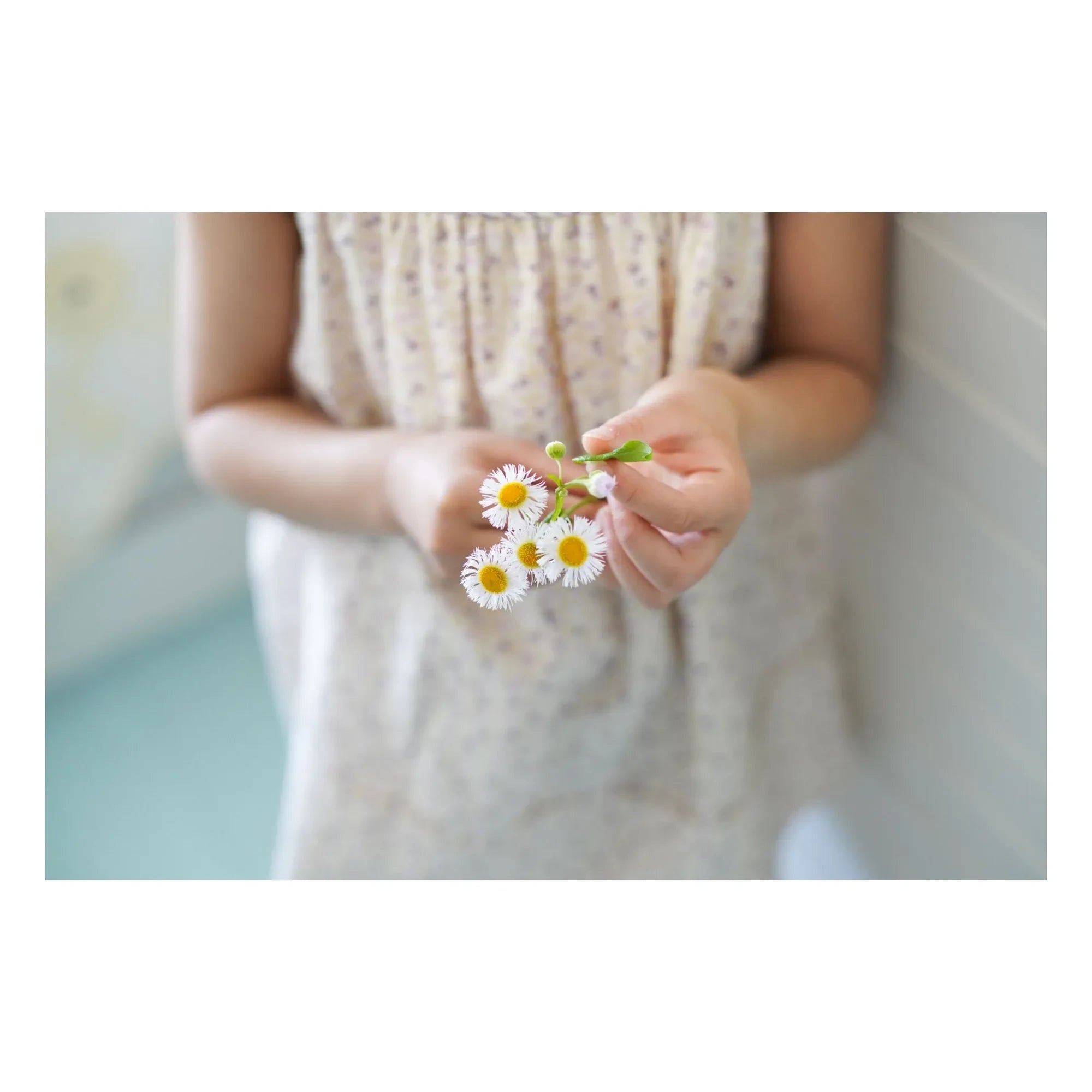Soor Ploom - Delilah Fleurie Kleid aus Bio-Baumwolle | Ecru