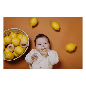 Petit Boum - Duyusal Limon Donut