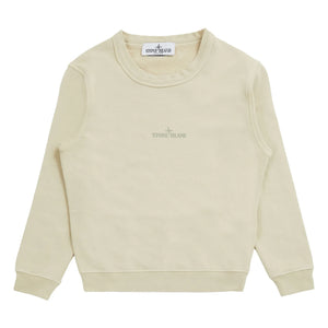 Stone Island – Sweatshirt mit handschriftlichem Aufdruck | Beige