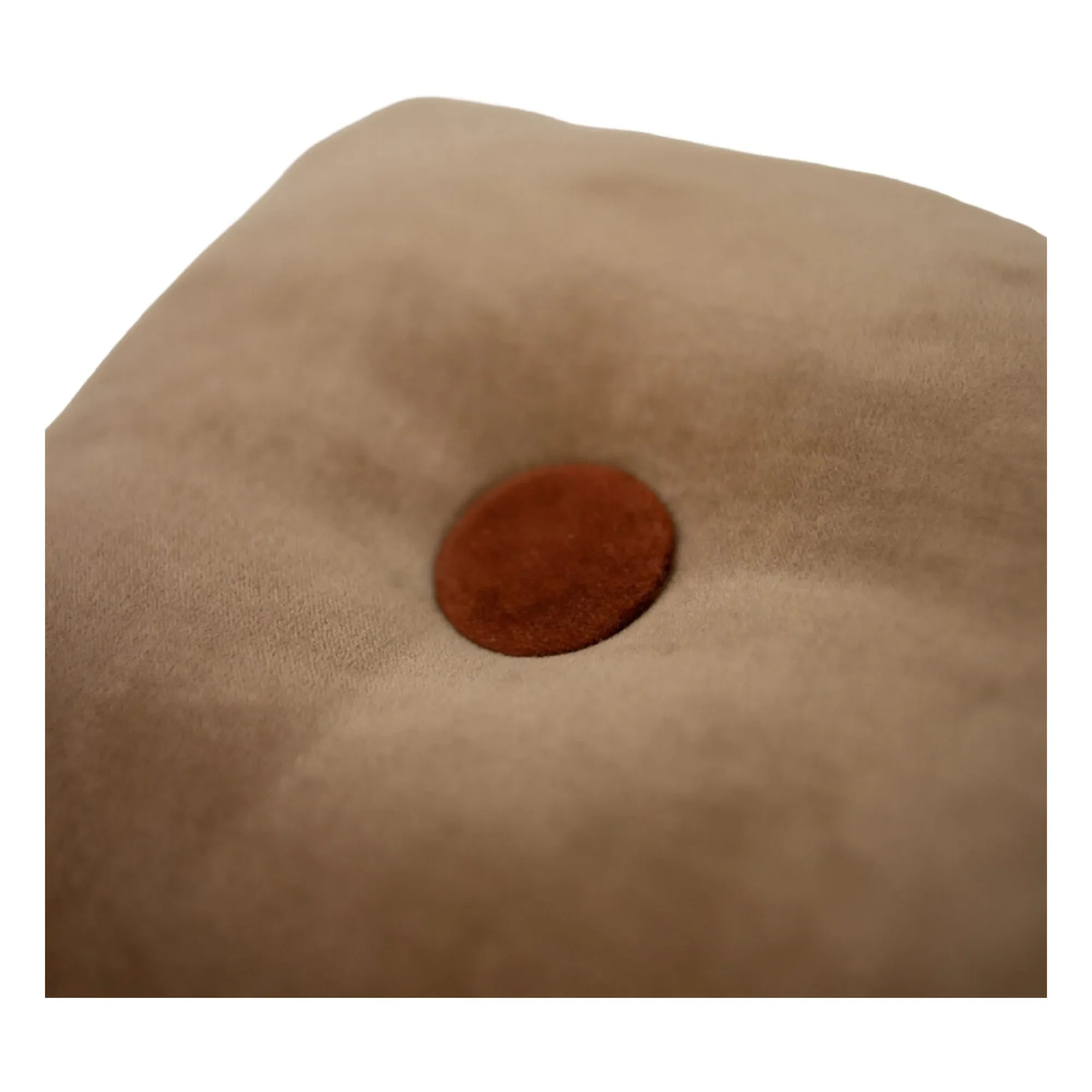 Olsson & Jensen - Samtkissen Elora | Beige