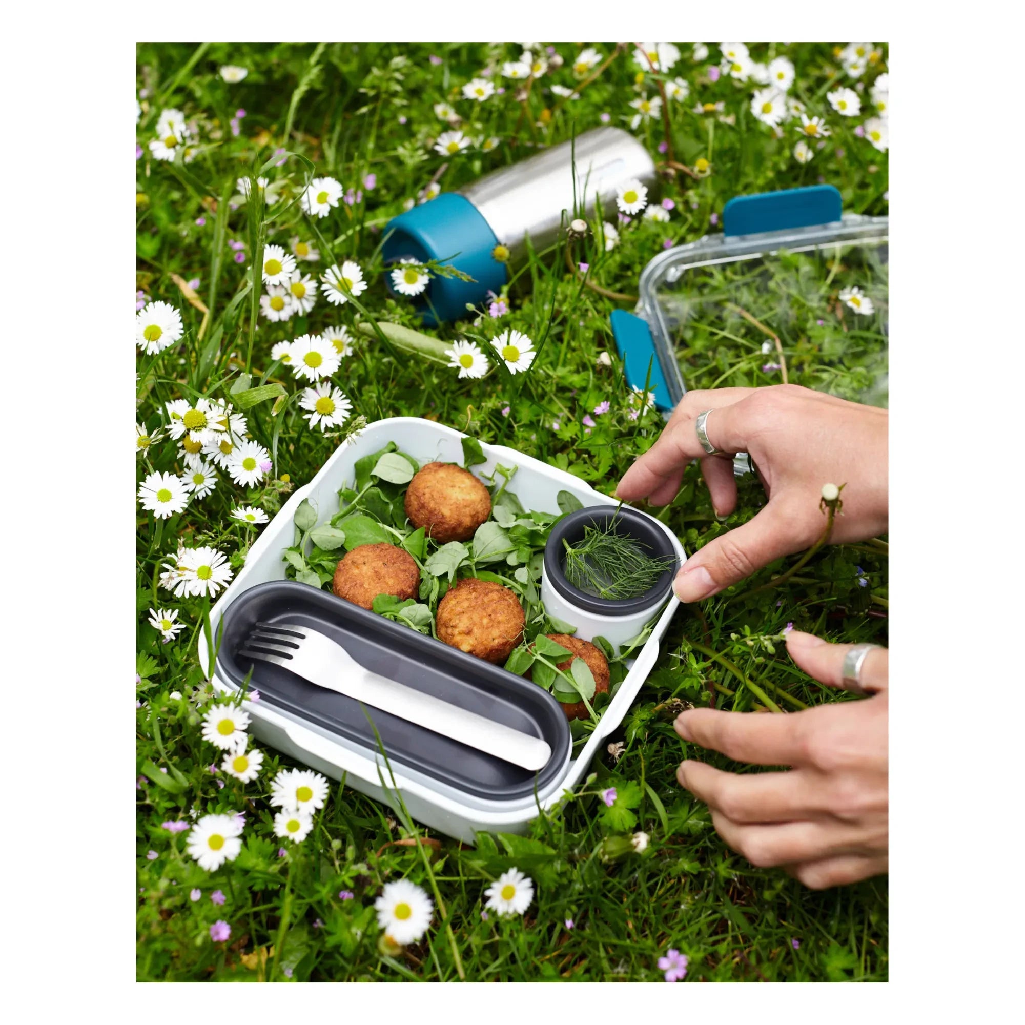 Black + Blum - Lunchbox - 1000 ml | Blau