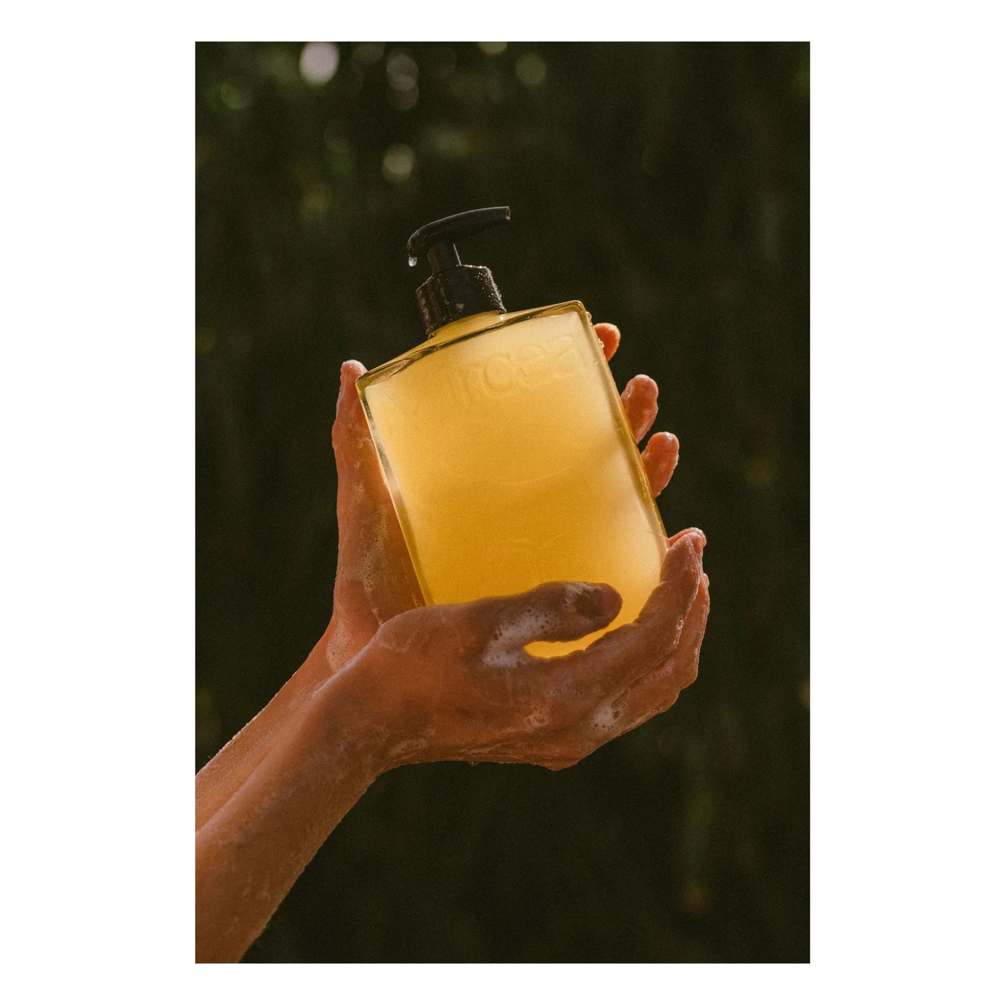 Mircea - Zeder + Rosmarin Duschgel - 400 ml