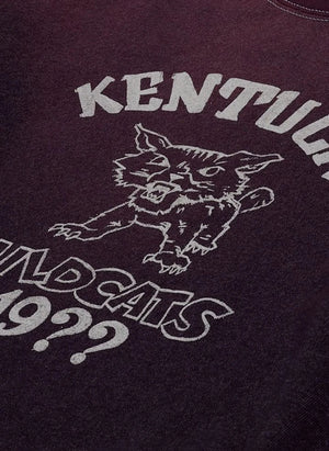 Wild Donkey - Kentucky Cotton Kazak | Mor