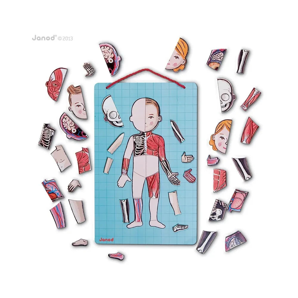 Janod - Magnetisches Anatomie-Puzzle