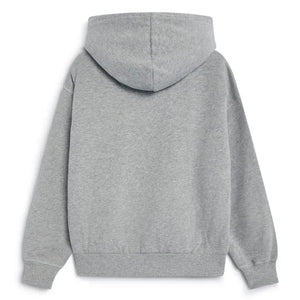 Die neue Gesellschaft – TNS Logo Kapüşonlu Sweatshirt | Gri