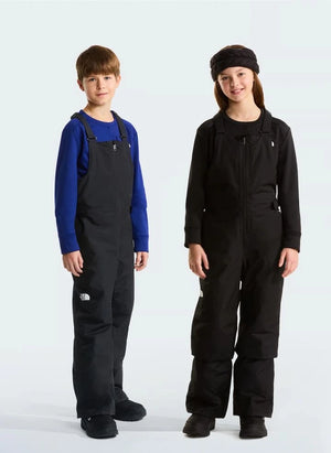 The North Face - Freedom Skijacken | Schwarz