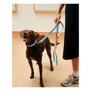 Approved by Fritz - Verstellbares Hundehalsband | Hellblau