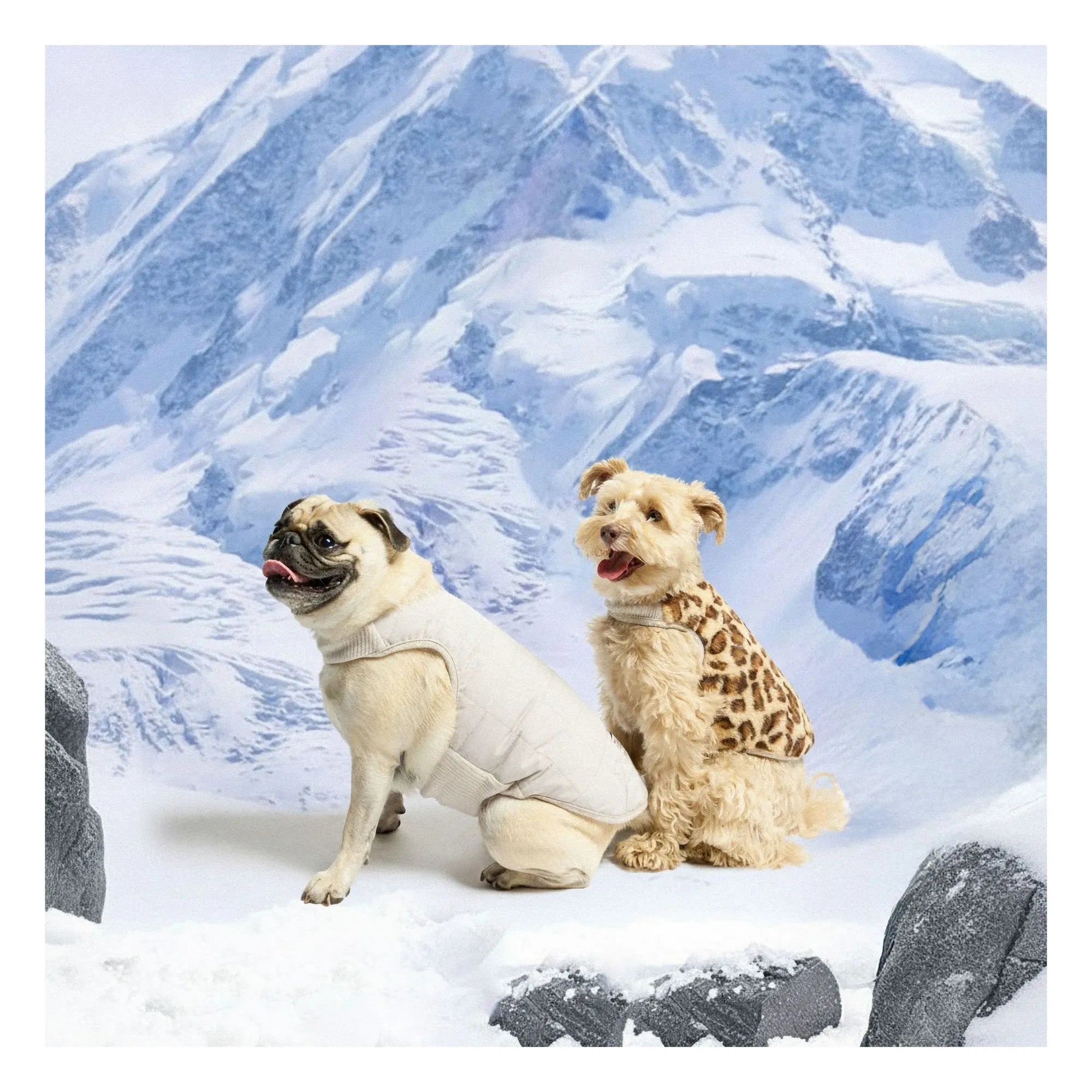 The Furry Folks - Wendbare Pufferjacke | Grau